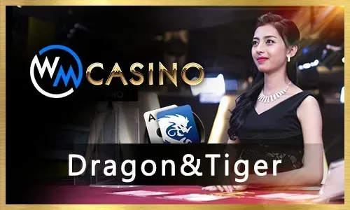 Nustar Dubai Live Casino